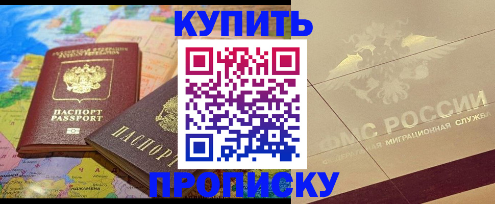 прописка поиск в Новгородской области
